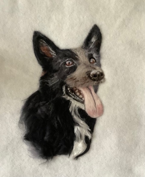 Alison Hall dog portrait