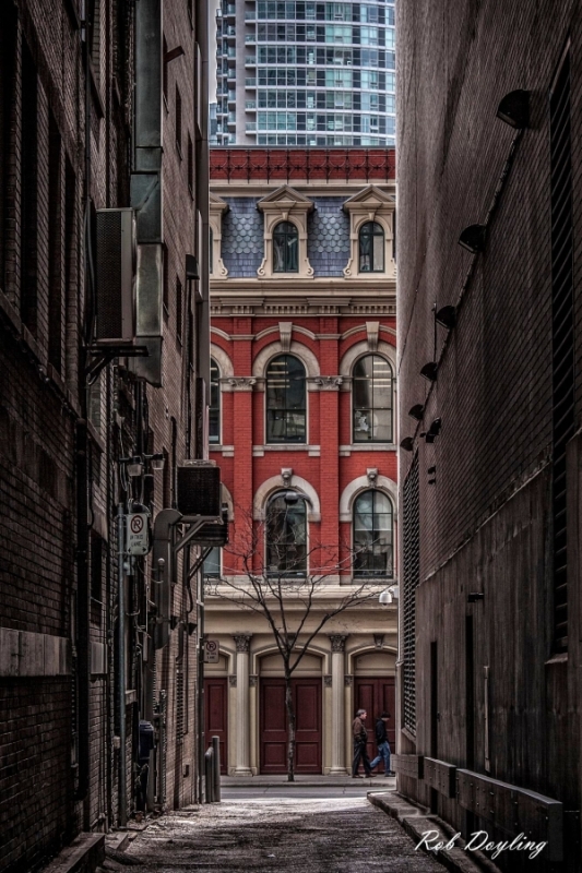 Doylings-Father-and-Son-Young-and-Old