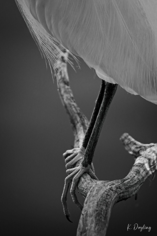 Karen-Doyling-Guidance-high-gloss-metal-24x36-595 (1)